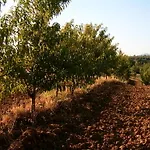 La Ripa Del Drago