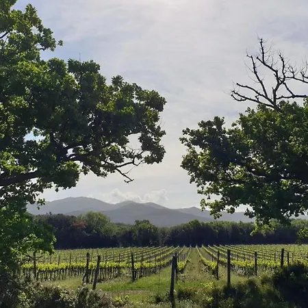 La Ripa Del Drago Farm stay Bibbona