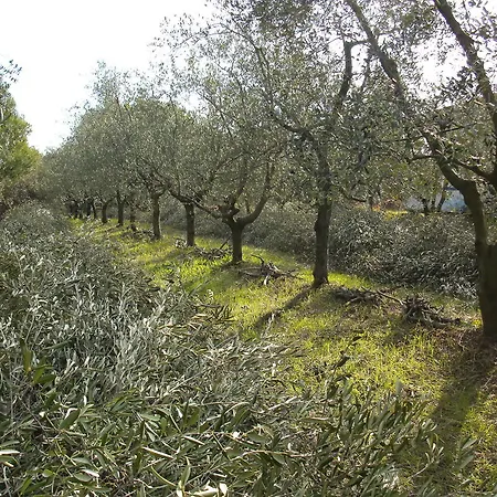 Farmház La Ripa Del Drago Bibbona