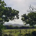 La Ripa Del Drago Farm stay Bibbona