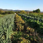 Farm stay La Ripa Del Drago *