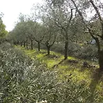 Farm stay La Ripa Del Drago Bibbona