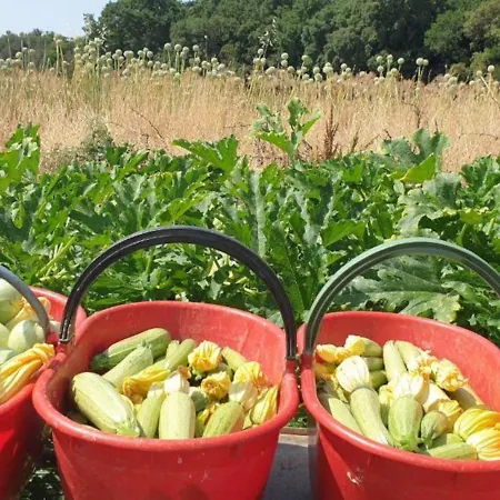 Vakantieboerderij La Ripa Del Drago *