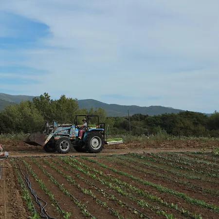 Gospodarstwo agroturystyczne La Ripa Del Drago